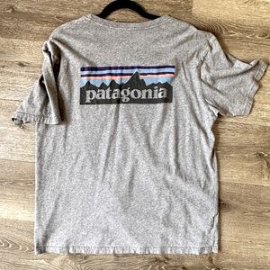 Patagonia Men’s Classic Tee Short Sleeve T-Shirt Tshirt